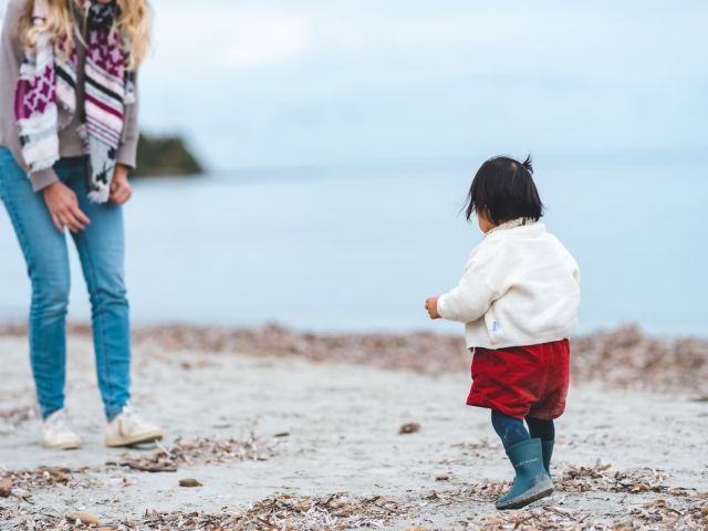 L’adoption simple et la recherche du bouleversement anormal de l’ordre filial